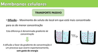 • Difusão - Movimento do soluto do local em que está mais concentrado
para os de menor concentração
Esta diferença é denominada gradiente de
concentração
A difusão a favor do gradiente de concentração é
um processo que ocorre espontaneamente,
sem gasto de energia
TRANSPORTE PASSIVO
 