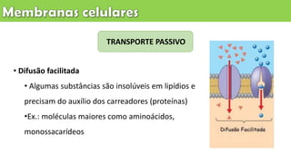 TRANSPORTE PASSIVO
• Difusão facilitada
• Algumas substâncias são insolúveis em lipídios e
precisam do auxílio dos carreadores (proteínas)
•Ex.: moléculas maiores como aminoácidos,
monossacarídeos
 