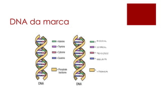 DNA da marca
 