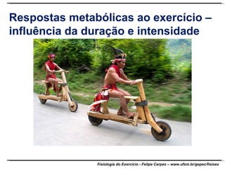 Respostas metabólicas ao exercício – influência da duração e intensidade 