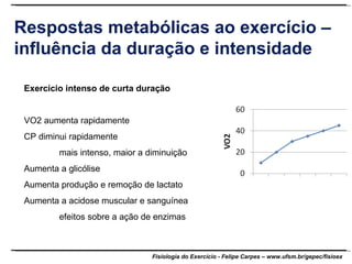 Respostas metabólicas ao exercício – influência da duração e intensidade Exercício intenso de curta duração VO2 aumenta rapidamente CP diminui rapidamente mais intenso, maior a diminuição Aumenta a glicólise Aumenta produção e remoção de lactato Aumenta a acidose muscular e sanguínea efeitos sobre a ação de enzimas 