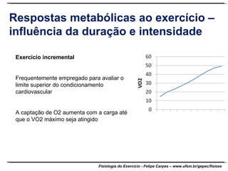 Respostas metabólicas ao exercício – influência da duração e intensidade Exercício incremental Frequentemente empregado para avaliar o limite superior do condicionamento cardiovascular A captação de O2 aumenta com a carga até que o VO2 máximo seja atingido 