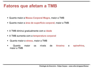 Fatores que afetam a TMB  Quanto maior a  Massa Corporal Magra ,   maior a TMB  Quanto maior a  área de superfície corporal ,   maior a TMB  A TMB diminui gradualmente com a  idade  A TMB aumenta com a  temperatura corporal    Quanto maior o  stress , maior a TMB    Quanto maior os níveis de  tiroxina  e  epinefrina ,   maior a TMB 