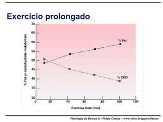 Exercício prolongado 