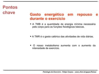 Pontos chave  A TMB é a quantidade de energia mínima necessária pelo corpo para as funções fisiológicas básicas.    A TMR é o gasto calórico das atividades de vida diárias. Gasto energético em repouso e durante o exercício    O nosso metabolismo aumenta com o aumento da intensidade de exercício. 