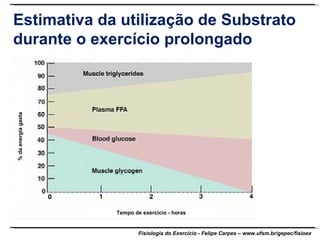 Estimativa da utilização de Substrato durante o exercício prolongado Tempo de exercício - horas % da energia gasta 
