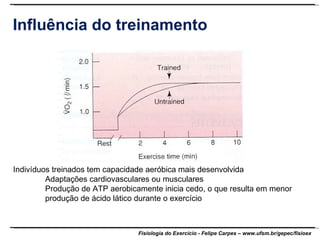Influência do treinamento Indivíduos treinados tem capacidade aeróbica mais desenvolvida Adaptações cardiovasculares ou musculares Produção de ATP aerobicamente inicia cedo, o que resulta em menor  produção de ácido lático durante o exercício 