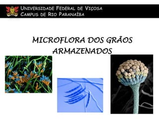 UNIVERSIDADE FEDERAL DE VIÇOSA
CAMPUS DE RIO PARANAÍBA
MICROFLORA DOS GRÃOS
ARMAZENADOS
 