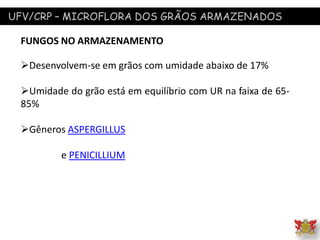 UFV/CRP – MICROFLORA DOS GRÃOS ARMAZENADOS
FUNGOS NO ARMAZENAMENTO
Desenvolvem-se em grãos com umidade abaixo de 17%
Umidade do grão está em equilíbrio com UR na faixa de 65-
85%
Gêneros ASPERGILLUS
e PENICILLIUM
 