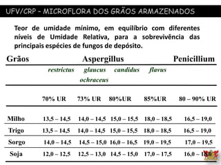 UFV/CRP – MICROFLORA DOS GRÃOS ARMAZENADOS
Teor de umidade mínimo, em equilíbrio com diferentes
níveis de Umidade Relativa, para a sobrevivência das
principais espécies de fungos de depósito.
Grãos Aspergillus Penicillium
restrictus glaucus candidus flavus
ochraceus
70% UR 73% UR 80%UR 85%UR 80 – 90% UR
Milho 13,5 – 14,5 14,0 – 14,5 15,0 – 15,5 18,0 – 18,5 16,5 – 19,0
Trigo 13,5 – 14,5 14,0 – 14,5 15,0 – 15,5 18,0 – 18,5 16,5 – 19,0
Sorgo 14,0 – 14,5 14,5 – 15,0 16,0 – 16,5 19,0 – 19,5 17,0 – 19,5
Soja 12,0 – 12,5 12,5 – 13,0 14,5 – 15,0 17,0 – 17,5 16,0 – 18,0
 