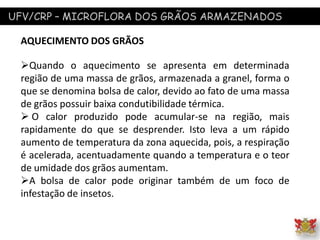 UFV/CRP – MICROFLORA DOS GRÃOS ARMAZENADOS
AQUECIMENTO DOS GRÃOS
Quando o aquecimento se apresenta em determinada
região de uma massa de grãos, armazenada a granel, forma o
que se denomina bolsa de calor, devido ao fato de uma massa
de grãos possuir baixa condutibilidade térmica.
 O calor produzido pode acumular-se na região, mais
rapidamente do que se desprender. Isto leva a um rápido
aumento de temperatura da zona aquecida, pois, a respiração
é acelerada, acentuadamente quando a temperatura e o teor
de umidade dos grãos aumentam.
A bolsa de calor pode originar também de um foco de
infestação de insetos.
 