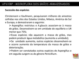 UFV/CRP – MICROFLORA DOS GRÃOS ARMAZENADOS
Sucessão das espécies
Christensem e Kaufmann, pesquisaram milhares de amostras
colhidas nos silos dos Estados Unidos, México, América do Sul
e Europa, e demostraram o seguinte:
 Aspergillus restrictus e A.glaucis associam-se à massa
de grãos. Desenvolvem-se em umidade de equilíbrio e UR
menor que 75%;
Essas espécies não aquecem a massa de grãos, mas
podem produzir água metabólica (aumenta a umidade);
Se umidade aumenta, outras espécies desenvolvem-se
e ocorre aumento da temperatura da massa de grãos e
deterioração;
Podem ser constatadas outras espécies de Aspergillus e
em seguida surgem os do gênero Penicillium.
 
