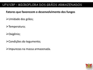 UFV/CRP – MICROFLORA DOS GRÃOS ARMAZENADOS
Fatores que favorecem o desenvolvimento dos fungos
Umidade dos grãos;
Temperatura;
Oxigênio;
Condições do tegumento;
Impurezas na massa armazenada.
 