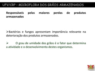 UFV/CRP – MICROFLORA DOS GRÃOS ARMAZENADOS
Responsáveis pelas maiores perdas de produtos
armazenados
Bactérias e fungos apresentam importância relevante na
deterioração dos produtos armazenados.
 O grau de umidade dos grãos é o fator que determina
a atividade e o desenvolvimento destes organismos.
 