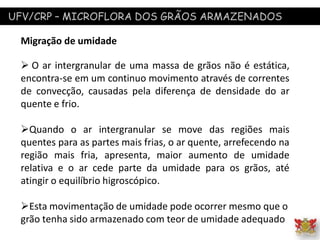 UFV/CRP – MICROFLORA DOS GRÃOS ARMAZENADOS
Migração de umidade
 O ar intergranular de uma massa de grãos não é estática,
encontra-se em um continuo movimento através de correntes
de convecção, causadas pela diferença de densidade do ar
quente e frio.
Quando o ar intergranular se move das regiões mais
quentes para as partes mais frias, o ar quente, arrefecendo na
região mais fria, apresenta, maior aumento de umidade
relativa e o ar cede parte da umidade para os grãos, até
atingir o equilíbrio higroscópico.
Esta movimentação de umidade pode ocorrer mesmo que o
grão tenha sido armazenado com teor de umidade adequado
 
