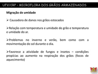 UFV/CRP – MICROFLORA DOS GRÃOS ARMAZENADOS
Migração de umidade
 Causadora de danos nos grãos estocados
Relação com temperatura e umidade do grão e temperatura
e umidade do ar.
Problemas no inverno e verão, bem como com a
movimentação do sol durante o dia.
Favorece a atividade de fungos e insetos – condições
propícias ao aumento na respiração dos grãos (focos de
aquecimento)
 