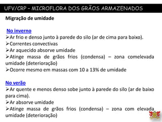 UFV/CRP – MICROFLORA DOS GRÃOS ARMAZENADOS
Migração de umidade
No inverno
Ar frio e denso junto à parede do silo (ar de cima para baixo).
Correntes convectivas
Ar aquecido absorve umidade
Atinge massa de grãos frios (condensa) – zona comelevada
umidade (deterioração)
Ocorre mesmo em massas com 10 a 13% de umidade
No verão
Ar quente e menos denso sobe junto à parede do silo (ar de baixo
para cima).
Ar absorve umidade
Atinge massa de grãos frios (condensa) – zona com elevada
umidade (deterioração)
 