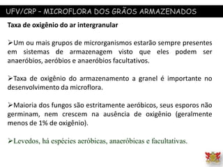 UFV/CRP – MICROFLORA DOS GRÃOS ARMAZENADOS
Taxa de oxigênio do ar intergranular
Um ou mais grupos de microrganismos estarão sempre presentes
em sistemas de armazenagem visto que eles podem ser
anaeróbios, aeróbios e anaeróbios facultativos.
Taxa de oxigênio do armazenamento a granel é importante no
desenvolvimento da microflora.
Maioria dos fungos são estritamente aeróbicos, seus esporos não
germinam, nem crescem na ausência de oxigênio (geralmente
menos de 1% de oxigênio).
Levedos, há espécies aeróbicas, anaeróbicas e facultativas.
 