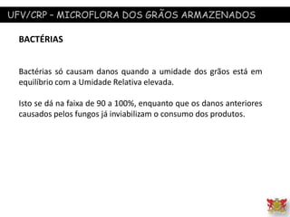 UFV/CRP – MICROFLORA DOS GRÃOS ARMAZENADOS
BACTÉRIAS
Bactérias só causam danos quando a umidade dos grãos está em
equilíbrio com a Umidade Relativa elevada.
Isto se dá na faixa de 90 a 100%, enquanto que os danos anteriores
causados pelos fungos já inviabilizam o consumo dos produtos.
 