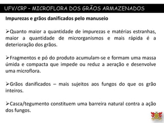 UFV/CRP – MICROFLORA DOS GRÃOS ARMAZENADOS
Impurezas e grãos danificados pelo manuseio
Quanto maior a quantidade de impurezas e matérias estranhas,
maior a quantidade de microrganismos e mais rápida é a
deterioração dos grãos.
Fragmentos e pó do produto acumulam-se e formam uma massa
úmida e compacta que impede ou reduz a aeração e desenvolve
uma microflora.
Grãos danificados – mais sujeitos aos fungos do que os grão
inteiros.
Casca/tegumento constituem uma barreira natural contra a ação
dos fungos.
 