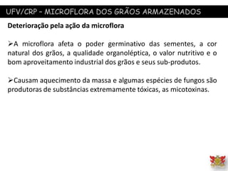 UFV/CRP – MICROFLORA DOS GRÃOS ARMAZENADOS
Deterioração pela ação da microflora
A microflora afeta o poder germinativo das sementes, a cor
natural dos grãos, a qualidade organoléptica, o valor nutritivo e o
bom aproveitamento industrial dos grãos e seus sub-produtos.
Causam aquecimento da massa e algumas espécies de fungos são
produtoras de substâncias extremamente tóxicas, as micotoxinas.
 