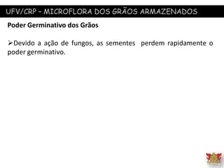 UFV/CRP – MICROFLORA DOS GRÃOS ARMAZENADOS
Poder Germinativo dos Grãos
Devido a ação de fungos, as sementes perdem rapidamente o
poder germinativo.
 