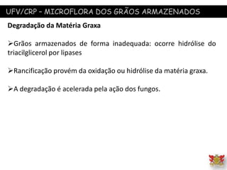 UFV/CRP – MICROFLORA DOS GRÃOS ARMAZENADOS
Degradação da Matéria Graxa
Grãos armazenados de forma inadequada: ocorre hidrólise do
triacilglicerol por lipases
Rancificação provém da oxidação ou hidrólise da matéria graxa.
A degradação é acelerada pela ação dos fungos.
 