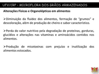 UFV/CRP – MICROFLORA DOS GRÃOS ARMAZENADOS
Alterações Físicas e Organolépticas em alimentos
Diminuição da fluidez dos alimentos, formação de “grumos” e
descoloração, além de produção de cheiro e sabor característico.
Perda do valor nutritivo pela degradação de proteínas, gorduras,
glucídios e alterações nas vitaminas e aminoácidos contidos nos
alimentos.
Produção de micotoxinas com prejuízo e inutilização dos
alimentos estocados.
 