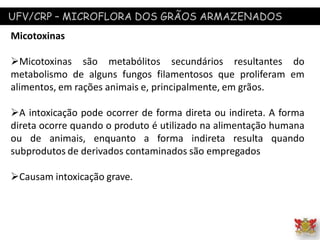 UFV/CRP – MICROFLORA DOS GRÃOS ARMAZENADOS
Micotoxinas
Micotoxinas são metabólitos secundários resultantes do
metabolismo de alguns fungos filamentosos que proliferam em
alimentos, em rações animais e, principalmente, em grãos.
A intoxicação pode ocorrer de forma direta ou indireta. A forma
direta ocorre quando o produto é utilizado na alimentação humana
ou de animais, enquanto a forma indireta resulta quando
subprodutos de derivados contaminados são empregados
Causam intoxicação grave.
 