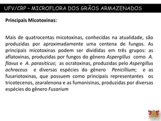 UFV/CRP – MICROFLORA DOS GRÃOS ARMAZENADOS
Principais Micotoxinas:
Mais de quatrocentas micotoxinas, conhecidas na atualidade, são
produzidas por aproximadamente uma centena de fungos. As
principais micotoxinas podem ser divididas em três grupos: as
aflatoxinas, produzidas por fungos do gênero Aspergillus como A.
flavus e A. parasiticus; as ocratoxinas, produzidas pelo Aspergillus
ochraceus e diversas espécies do gênero Penicillium; e as
fusariotoxinas, que possuem como principais representantes os
tricotecenos, zearalenona e as fumonisinas, produzidas por diversas
espécies do gênero Fusarium
 
