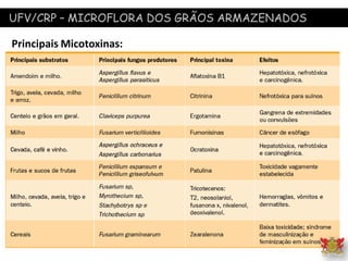 UFV/CRP – MICROFLORA DOS GRÃOS ARMAZENADOS
Principais Micotoxinas:
 