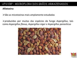 UFV/CRP – MICROFLORA DOS GRÃOS ARMAZENADOS
Aflatoxina
São as micotoxinas mais amplamente estudadas
produzidas por muitas das espécies do fungo Aspergillus, tais
como Aspergillus flavus, Aspergillus niger e Aspergillus parasiticus
 