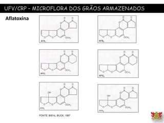 UFV/CRP – MICROFLORA DOS GRÃOS ARMAZENADOS
Aflatoxina
 