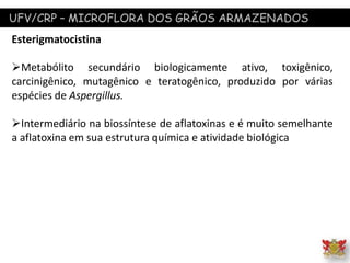 UFV/CRP – MICROFLORA DOS GRÃOS ARMAZENADOS
Esterigmatocistina
Metabólito secundário biologicamente ativo, toxigênico,
carcinigênico, mutagênico e teratogênico, produzido por várias
espécies de Aspergillus.
Intermediário na biossíntese de aflatoxinas e é muito semelhante
a aflatoxina em sua estrutura química e atividade biológica
 