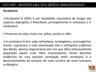 UFV/CRP – MICROFLORA DOS GRÃOS ARMAZENADOS
Ocratoxina
Ocratoxina A (OTA) é um metabólito secundário de fungos das
espécies Aspergillus e Penicillium, principalmente A. ochraceus e P.
viridicatum
Presente em altos níveis nos grãos, cereais e cafés
A ocratoxina A tem ação nefrotóxica, teratogênica, carcinogênica,
imuno- supressora e está relacionada com a nefropatia endêmica
dos Balcãs, doença degenerativa dos rins que afeta exclusivamente
população adulta rural. Mais recentemente, foram descritos
evidências de uma possível correlação entre ocratoxina A e
desenvolvimento de tumores do trato urinário de seres humanos
na Bulgária
 