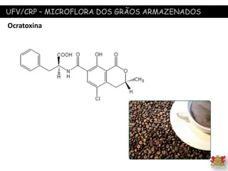 UFV/CRP – MICROFLORA DOS GRÃOS ARMAZENADOS
Ocratoxina
 