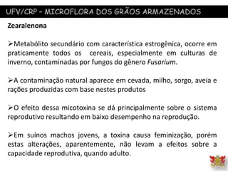 UFV/CRP – MICROFLORA DOS GRÃOS ARMAZENADOS
Zearalenona
Metabólito secundário com característica estrogênica, ocorre em
praticamente todos os cereais, especialmente em culturas de
inverno, contaminadas por fungos do gênero Fusarium.
A contaminação natural aparece em cevada, milho, sorgo, aveia e
rações produzidas com base nestes produtos
O efeito dessa micotoxina se dá principalmente sobre o sistema
reprodutivo resultando em baixo desempenho na reprodução.
Em suínos machos jovens, a toxina causa feminização, porém
estas alterações, aparentemente, não levam a efeitos sobre a
capacidade reprodutiva, quando adulto.
 