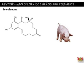 UFV/CRP – MICROFLORA DOS GRÃOS ARMAZENADOS
Zearalenona
 
