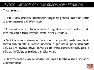 UFV/CRP – MICROFLORA DOS GRÃOS ARMAZENADOS
Tricotecenos
Produzidos principalmente por fungos do gênero Fusarium como
F. graminearum e F. tricinctum
A ocorrência de tricotecenos é significativa em culturas de
inverno, como trigo, cevada, aveia, arroz e centeio
Os tricotecenos atuam inibindo a enzima peptiltransferase, desta
forma diminuindo a síntese protéica, o que afeta principalmente
células em divisão ativa, como as do trato gastrintestinal, pele e
células linfóides, eritróides e órgãos vitais.
Os tricotecenos são imunossupressores e também são associados
a hemorragias
 
