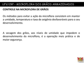 UFV/CRP – MICROFLORA DOS GRÃOS ARMAZENADOS
CONTROLE NA MICROFLORA DE GRÃOS
Os métodos para evitar a ação da microflora consistem em manter
a umidade, temperatura e taxa de oxigênio desfavoráveis para o seu
desenvolvimento.
A secagem dos grãos, aos níveis de umidade que impedem o
desenvolvimento da microflora, é a operação mais prática e de
maior segurança.
 