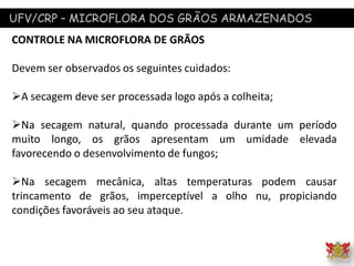 UFV/CRP – MICROFLORA DOS GRÃOS ARMAZENADOS
CONTROLE NA MICROFLORA DE GRÃOS
Devem ser observados os seguintes cuidados:
A secagem deve ser processada logo após a colheita;
Na secagem natural, quando processada durante um período
muito longo, os grãos apresentam um umidade elevada
favorecendo o desenvolvimento de fungos;
Na secagem mecânica, altas temperaturas podem causar
trincamento de grãos, imperceptível a olho nu, propiciando
condições favoráveis ao seu ataque.
 