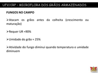 UFV/CRP – MICROFLORA DOS GRÃOS ARMAZENADOS
FUNGOS NO CAMPO
Atacam os grãos antes da colheita (crescimento ou
maturação)
Requer UR ≈90%
Umidade do grão ≈ 25%
Atividade do fungo diminui quando temperatura e umidade
diminuem
 