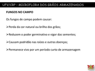 UFV/CRP – MICROFLORA DOS GRÃOS ARMAZENADOS
FUNGOS NO CAMPO
Os fungos de campo podem causar:
Perda da cor natural ou brilho dos grãos;
Reduzem o poder germinativo e vigor das sementes;
Causam podridão nas raízes e outras doenças;
Permanece vivo por um período curto de armazenagem
 