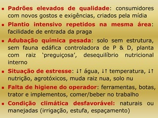  Padrões elevados de qualidade: consumidores
com novos gostos e exigências, criados pela mídia
 Plantio intensivo repetidos na mesma área:
facilidade de entrada da praga
 Adubação química pesada: solo sem estrutura,
sem fauna edáfica controladora de P & D, planta
com raiz ‘preguiçosa’, desequilíbrio nutricional
interno
 Situação de estresse:  água,  temperatura, 
nutrição, agrotóxicos, muda raiz nua, solo nu
 Falta de higiene do operador: ferramentas, botas,
trator e implementos, comer/beber no trabalho
 Condição climática desfavorável: naturais ou
manejadas (irrigação, estufa, espaçamento)
 