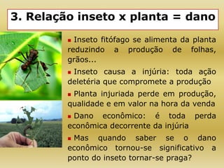 3. Relação inseto x planta = dano
 Inseto fitófago se alimenta da planta
reduzindo a produção de folhas,
grãos...
 Inseto causa a injúria: toda ação
deletéria que compromete a produção
 Planta injuriada perde em produção,
qualidade e em valor na hora da venda
 Dano econômico: é toda perda
econômica decorrente da injúria
 Mas quando saber se o dano
econômico tornou-se significativo a
ponto do inseto tornar-se praga?
 