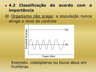  4.2 Classificação de acordo com a
importância
 Organismo não praga: a população nunca
atinge o nível de controle
Exemplo: coleópteros ou louva deus em
frutíferas
 