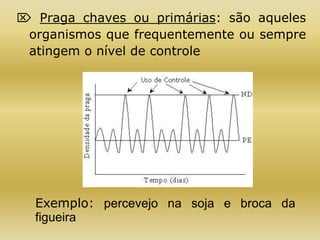  Praga chaves ou primárias: são aqueles
organismos que frequentemente ou sempre
atingem o nível de controle
Exemplo: percevejo na soja e broca da
figueira
 