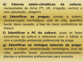 d) Fatores edafo-climáticos da cultura:
necessidades de clima (Tº, UR, irrigação, ventos) e
solo (adubação, calagem)
e) Identificar as pragas: nomes e ordem,
caracterização morfológica, ciclo de vida, aparelho
bucal, dano causado, a fase de maior preferência de
ataque
f) Identificar o PC da cultura: quais as fases
suscetíveis da cultura e relacionar com o hábito e
com a condição ambiental preferencial da praga
g) Identificar os inimigos naturais da praga:
nomes e ordem, caracterização morfológica, ciclo de
vida, aparelho bucal, parasita/patógeno/predador,
plantas e ambientes preferenciais para moradia
 