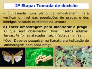 2ª Etapa: Tomada de decisão
- É baseada num plano de amostragem, para
verificar o nível das populações de pragas e dos
inimigos naturais existentes na lavoura
a) Fazer amostragem para monitorar a praga:
O que será observado? Ovos, insetos adultos,
larvas, % folhas atacadas, raiz infectada, ninfas...
*Obs: Deve-se pesquisar na literatura a indicação de
amostragem para cada praga
 