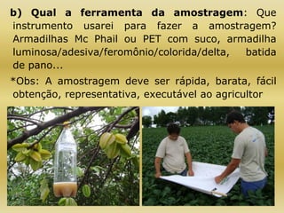 b) Qual a ferramenta da amostragem: Que
instrumento usarei para fazer a amostragem?
Armadilhas Mc Phail ou PET com suco, armadilha
luminosa/adesiva/feromônio/colorida/delta, batida
de pano...
*Obs: A amostragem deve ser rápida, barata, fácil
obtenção, representativa, executável ao agricultor
 